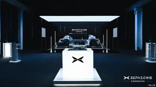 無(wú)框車門與電動(dòng)尾翼 國(guó)貨SUV如何以科技與性能重塑豪華運(yùn)動(dòng)標(biāo)桿